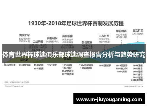 体育世界杯球迷俱乐部球迷调查报告分析与趋势研究