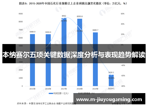 本纳赛尔五项关键数据深度分析与表现趋势解读