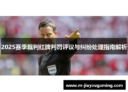 2025赛季裁判红牌判罚评议与纠纷处理指南解析