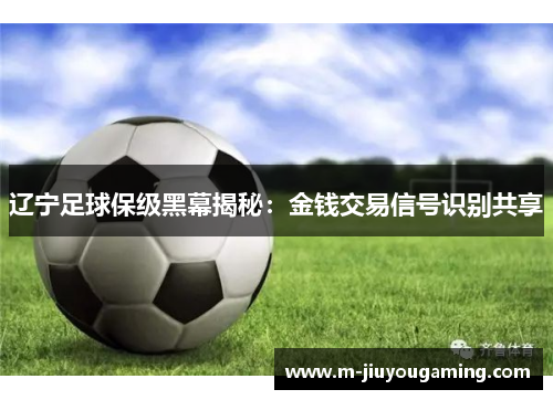 辽宁足球保级黑幕揭秘：金钱交易信号识别共享