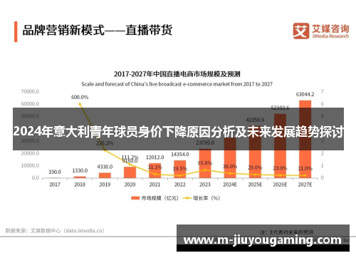 2024年意大利青年球员身价下降原因分析及未来发展趋势探讨