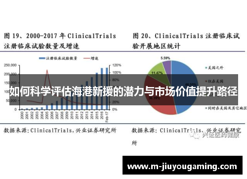 如何科学评估海港新援的潜力与市场价值提升路径