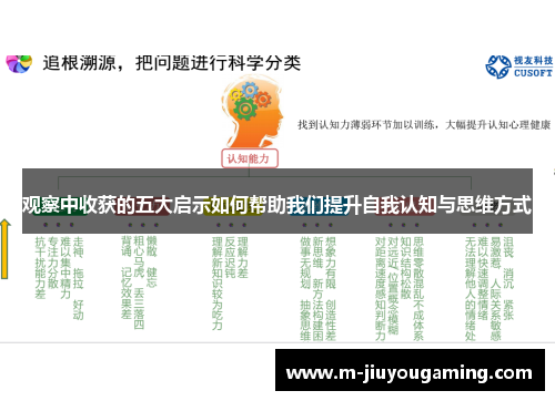 观察中收获的五大启示如何帮助我们提升自我认知与思维方式